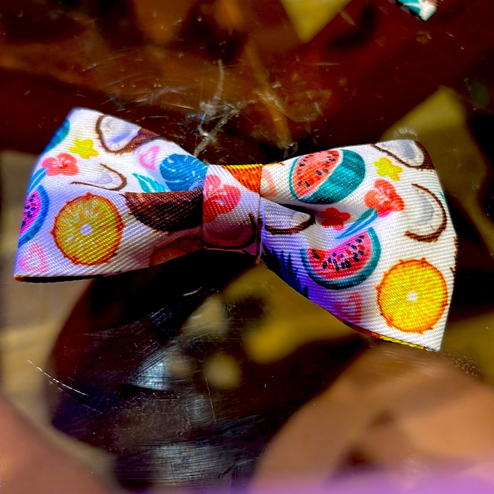 Dog or cat bow tie